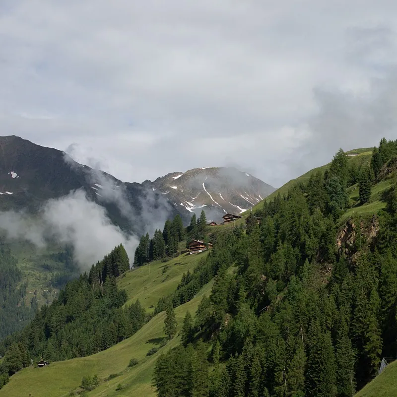 Berglandschaft mit grünen Wiesen und Nadelbäumen, im Hintergrund sind teils schneebedeckte Gipfel zu sehen. Der Himmel ist bewölkt.
